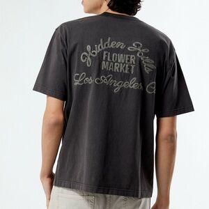 Men’s Pacsun Hidden Hills Stitched T-Shirt | Asphalt Gray | Size Large